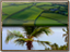 calendarmode:true Calendar mode