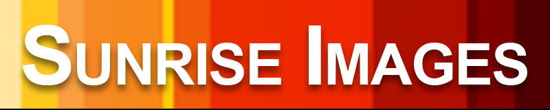 sunrise logo